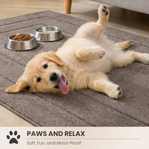 PURRUGS Dirt Trapping Door Mat 24" x 35.5", Non-Slip/Skid Machine Washable Entryway Rug, Dog Doormat, Super Absorbent Welcome Mat for Muddy Wet Shoes and Paws, Grayish Brown - color: Grayish Brown, size: 24" X 35.5"