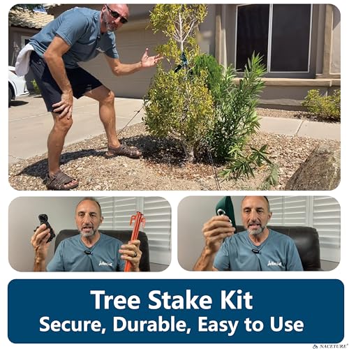 Tree Straightening Kit 6 Pack - Supports and Stake for Leaning Trees, 13.12 Feet Straps for Young Growth - color: 6 Pack