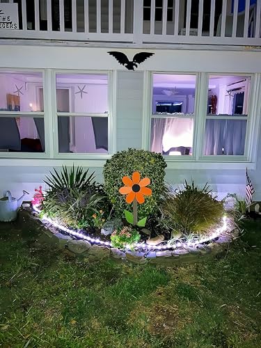 Lighting EVER 33ft 240 LED Outdoor Rope Lights Cool White 6000K, 24 V Connectable, Waterproof Clear Tube String Lights for Deck Railing, Patio Ground, Garden, Yard Lawn, Flower Bed Landscape, Camping - color: Cool White