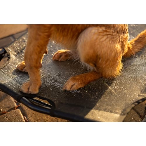 Momarsh Elevated Dog Cot with Washable Soft Pad & Folding Frame for Travel & Home Use | All in One Home Cot with Non Slip Feet | Large Portable Dog Bed | Perfect Padded Pet Bed System for Dogs - color: Elevated Home Cot