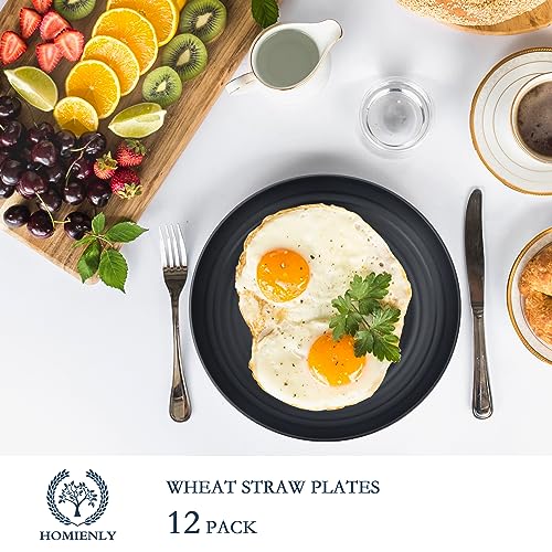 Homienly Deep Dinner Plate Set of 12 - Alternative to Plastic - Microwave & Dishwasher Safe - Wheat Straw Construction - Unbreakable - Ideal for Kids (Black, 9 inch) - color: 12 PCS Black, size: 9 IN