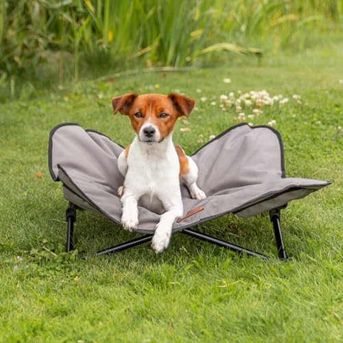 Trixie Camping Cot for Small Dogs up to 35 lb, Elevated Pet Travel Bed 27.2" x 27.2", Portable Steel Frame Lounger with Removable Topper, Foldable Design, Storage Bag Included - size: Small