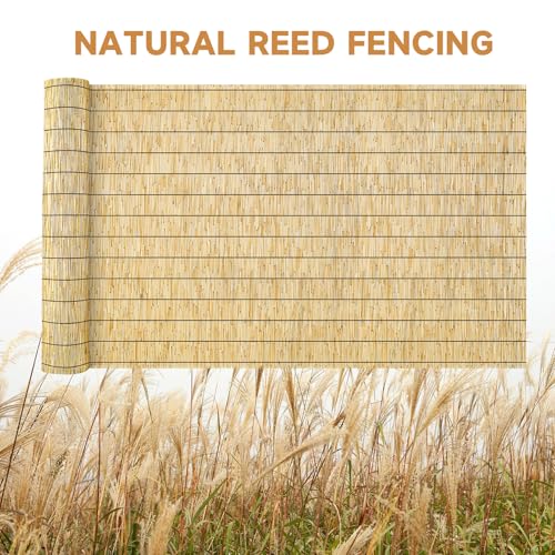 ZNCMRR Reed Fencing Rolls Natural Bamboo Fence 4 Feet High Privacy Screen Curtains Fence for Balcony Patio Garden Backyard Shades Outdoor 4FT X 16.4FT （Yellow） - color: 4X16.4 FT Yellow, size: 4X16.4 FT