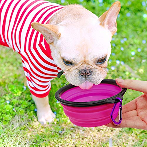 Dog Bowl Pet Collapsible Bowls, 2 Pack Collapsible Dog Water Bowls for Cats Dogs, Portable Pet Feeding Watering Dish for Walking Parking Traveling with 2 Carabiners (Small, Green+Purple) - color: Green+Purple, size: Small