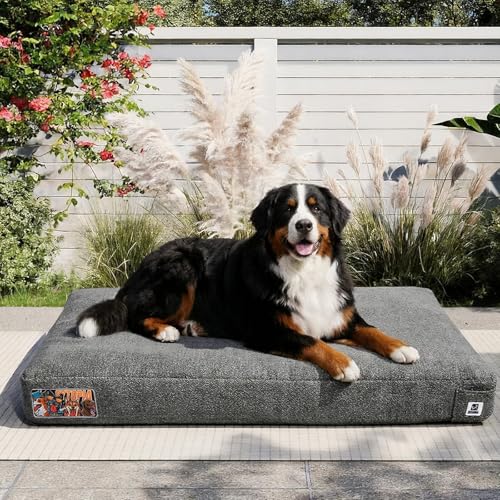 Sytopia 47 Inch Indestructible Dog Beds for XXL Dogs, Chew Proof Waterproof Pet Crate Pad with Machine Washable Removable Cover, Great for Indoor, Outdoor, Crate, Patio Use, Grey - color: Grey, size: Xx-large