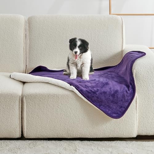 Waterproof Blanket for Bed Couch Sofa, Soft Liquid Pee Proof Pet Blanket for Dog Puppy Cat, Reversible Sherpa Fleece Furniture Protector (Dark Purple, 30x40 inches) - color: Dark Purple, size: 30x40 inches