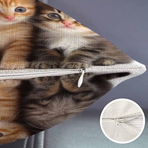 Smooffly Cute Cats Farmhouse Oblong Rectangle Kittens Family Cats Decorative Throw Pillow Case,12"x20" inch - color: Swn06