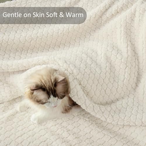 Exclusivo Mezcla Twin Size Fleece Blanket for Bed, Extra Soft Warm Decorative Fuzzy Blanket for Women, Lightweight Cozy Bedding Blankets, 60x80 Inches, Ivory - color: Ivory, size: Twin ( 60x80 IN )