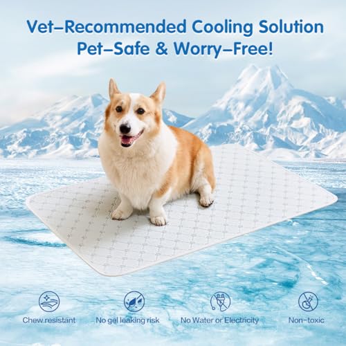 Dog Cooling Mat - Instant 6-12°F Drop, Cooling Mat for Pets Q-MAX >0.5 & Machine Washable, Anti-Slip Bottom, Cool Relief Bed for Dogs & Cats Light Gray 24" x 18" - color: Light Gray, size: S (24" x 18")