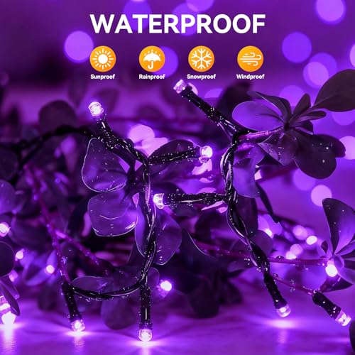 Solar String Lights Outdoor Waterproof 2 Pack Total 66ft 200LED 8 Modes Twinkle Lights Solar Fairy Lights for Patio, Garden Yard Party Wedding Tree Christmas Halloween Decoration, Purple - color: Purple
