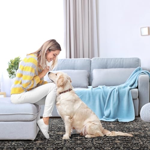 Ruaruarug Area Rug Non Slip Machine Washable Ultra Soft Living Room/Bedroom/Kitchen/Outdoor/Classroom, Black Grey, 10'×14' - color: Dark Grey, size: 10' x 14' (Rectangular)