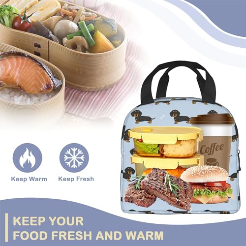 Dachshund Dog Lunch Box,Insulated Lunch Bag for Girls Boys,Reusable Lunch Box for Kids Adults School Student Work Picnic Travel - color: Dachshund Dog