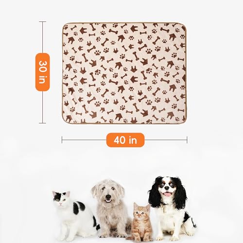 Waterproof Dog Blankets Pet Blanket, 30"x40" Cat Blanket for Indoor Cats, Soft Fluffy Sofa Car Bed Protector, Reversible Sherpa Fleece Puppy Blanket for Small Medium Dogs (Beige-House) - color: Beige-house, size: 30"x40"