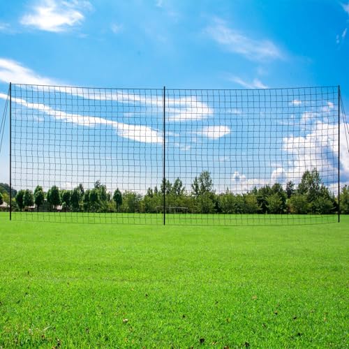 Backstop Net System for Backyard – Heavy Duty Sports Barrier Net with Steel Posts, Movable/Socketed Ball Stop Net for Soccer, Baseball, Training - size: 30FT Wide, style: Socketed-4 Inch Net