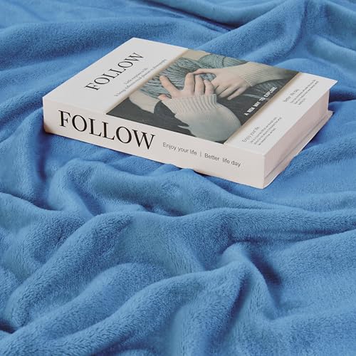 Edenleaf Big Oversized Soft Blanket, Giant Fleece Companion 120x120, California King Warm Blanket for Whole Family, Bed, Sofa, Couch, Travel, Camping 120x120 Sky Blue - color: Sky Blue