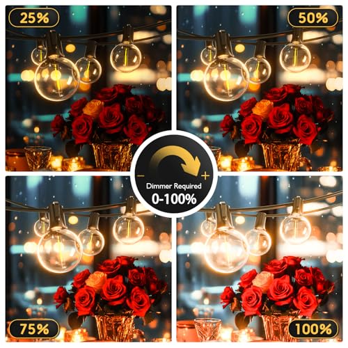 Outdoor String Lights 100ft LED Hanging Globe Patio Lights with G40 Shatterproof Bulbs(34+3 Bulbs), Spring Easter Gift for Men Women Waterproof Connectable Hanging Light Outdoor Decor Garden Backyard - style: 100FT (34+3Bulbs)