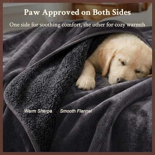 Waterproof Blanket for Couch, Sofa, Pets- Plush Water Proof Throw Blanket to Protect Furniture, Stain Resistant, Leak-Proof, Double-Sided, Reversible Flannel & Sherpa Fleece, Grey, 40"x60" - color: Grey, size: Throw (40"x60")