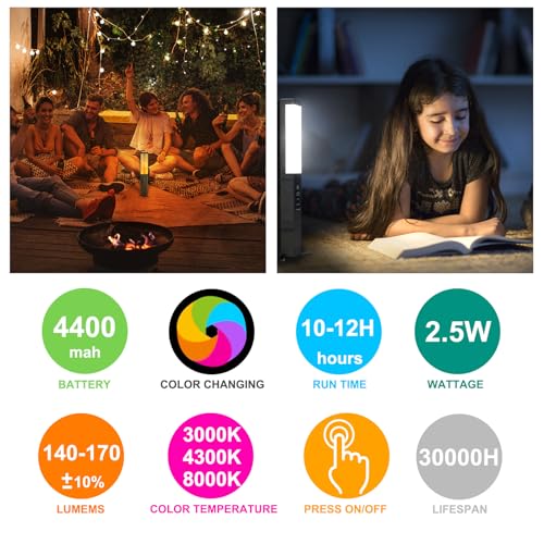 BIGMONAT Camping Lantern , Outdoor Emergency Light ,USB Rechargeable Flashlights,Flicker Flame Mood Decorated Light with 4 Modes ,4000mAH Power Bank for Hiking,Party,Camping ,Fishing ,Searching