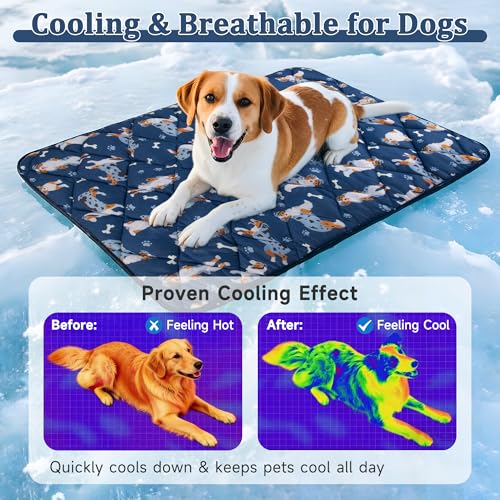 Dog Cooling Mat, Premium Lightweight Pet Cooling Blanket Bed Cover for Dogs, Cat, Puppies | Ice Silk Cooling Pad for Dogs Furniture Protector | Machine Washable Pet Blanket, 28''x40'' - color: Blue, size: Medium