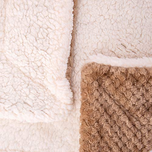 DW-Mocha Fuzzy Dog, Cat & Pet Blanket - Warm & Soft Plush Fleece Receiving Blanket for Dog Bed, Cat Bed, Couch, Sofa, Travel & Outdoor, Camping (24" x 32") - color: Dw-mocha, size: Blanket (24" x 32")