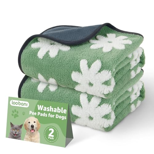 LOOBANI Washable Puppy Pads: Waterproof Reusable Pee Pads for Dogs, Non-Slip and Leak-Proof Dog Pee Mat, Absorbent Dog Training Pads for Puppy Playpen, Crate, Potty Training (36"x24", 2 Packs) - color: Green Daisy, size: 36"x24"(Pack of 2)