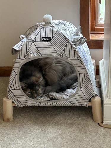 Pozico 2-in-1 Cat Bed Tent with Wooden Frame – Cat Teepee & Hammock, Portable Indoor/Outdoor Pet Tent for Cats, Kittens, Small Dogs, and Small Animals – Quick Assembly, White Diamond Design - color: White Diamond Tent