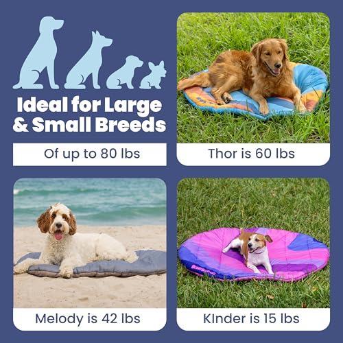 Travel Dog Bed (42" x 30")- Foldable & Packable for Travel, Road Trip, Camping– Lightweight, Water Resistant & Cozy with Soft Padding– Compact, Portable & Machine Washable– Large & Small Breeds: Teal - color: Sunset Surf