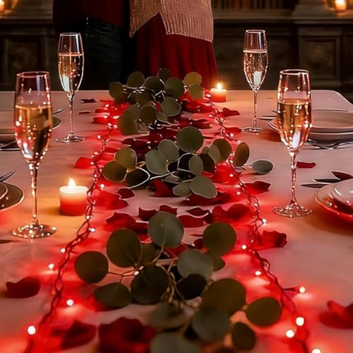 LAMPHOME 2 Pack 50 LED Red String Lights, 32 FT Mini String Lights with 9 Modes & 6 Hour Timer, Battery Operated for Indoor Outdoor Patio Garden Party Tree Valentine's Day Christmas Decorations - color: Red, size: 100 Count