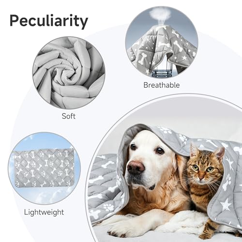wegreeco Pet Dog Cooling Mat for Cats, Lightweight Bed Outdoor Cooling Blanket for Dogs and Cats, Small Medium Large Puppy Cool Pad for Dogs, Small Bones XLarge - color: Small Bones, size: X-Large