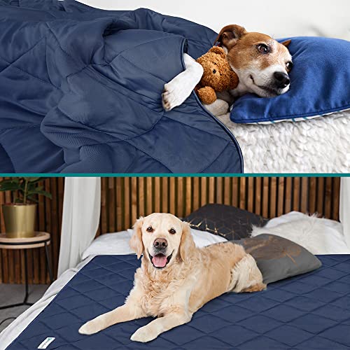 PetAmi Premium Cooling Dog Blanket | Lightweight Fluffy Pet Throw Blanket Bed Cover for Dogs, Cat, Puppies | Pet Blanket Furniture Protector Couch Sofa | Reversible Fuzzy Cozy | 29x40, Navy Blue - color: Navy Blue, size: Medium (29x40)