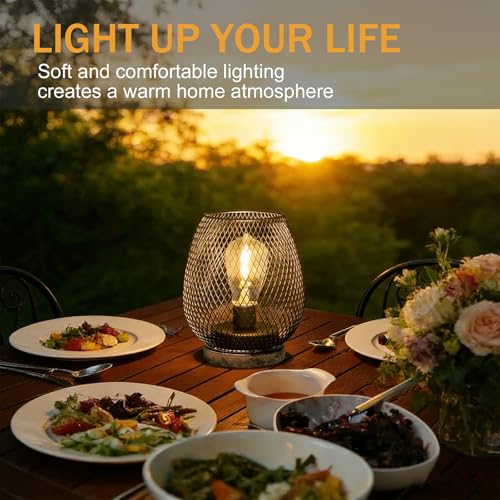 2 Pack Battery Operated Lamp Outdoor Table Lantern,Metal Cage Cordless Lamps with LED Bulb for Weddings Parties Patio Events Indoor Outdoor Patio Bedroom Living Room(Bronze)