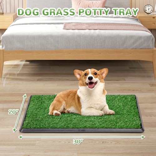 COZIWOW Grass Pad for Dogs with Tray, 30" x 20" Large Dog Grass Pad with Tray Indoor Dog Potty with 3PCS Artificial Grass Pee Pads, Washable Dog Litter Box Pet Toilet for Balcony Apartment - size: L - 30x20x2.2 IN