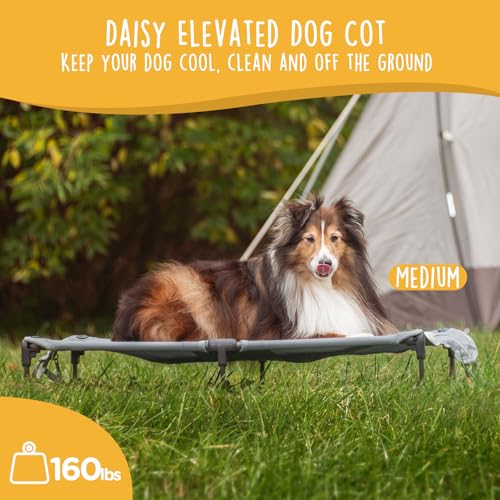 CANINE CANYON Daisy Cot, Medium Foldable Elevated Dog Bed, Portable Raised Outdoor Folding Dog Cot, Cooling, Chew Proof, Waterproof, Heavy Duty Up to 160 lbs for Camping/Home, Grey, 32"x 19"x6" - color: Gray, size: Medium