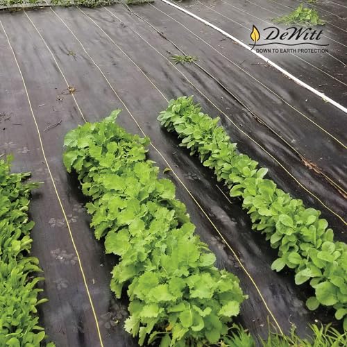 Dewitt 3-Pack Sunbelt Weed Barrier Fabric 3.2 oz, 6 x 300 Feet – Heavy-Duty Ground Cover Mat for Greenhouse Floors, Garden Rows, Raised Beds, Yard Gardening, and Outdoor Landscape Protection - size: 3 Pack, style: 6' W x 300'