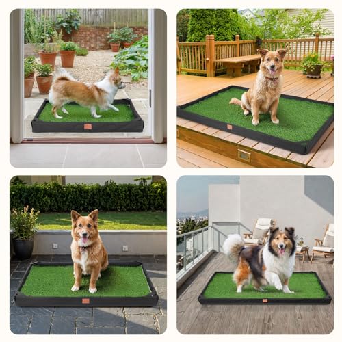 LOOBANI Dog Grass Pad with Tray, Lightweight Oxford Cloth Tray for Potty Training, 21.6 * 33.4 in