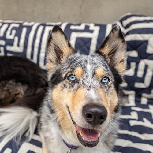 Waterproof Blanket, 60”x70” - Large Couch Cover for Dogs and Pets - Ideal for Picnics, Outdoor, Camping, Beach and More - Large, Washable Protector - color: Deep Blue and Tan