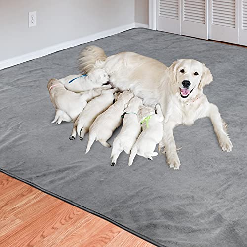 Dog Pee Pad Washable-Extra Large Instant Absorb Training Pads Non-Slip Pet Playpen Mat Waterproof Reusable Floor Mat for Puppy/Senior Dog Whelping Incontinence Housebreaking (31"x36"-(2PACK)) - size: 31"x36"-(2PACK)