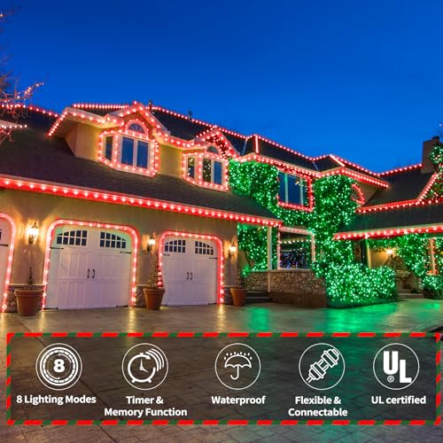 100ft LED Rope Lights Outdoor, 720 LED Connectable and Flexible Tube Lights with 8 Modes, Waterproof LED Rope Lighting for Garden, Patio, Pool, Bedroom, Party, Indoor Outdoor Christmas Decor (Red) - color: Red, size: 100ft