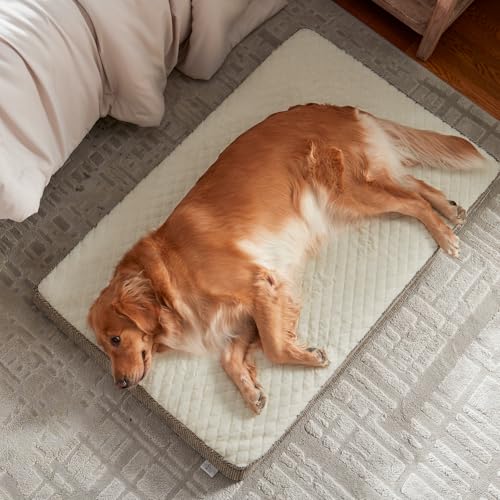 JOEJOY Orthopedic Dog Bed for Large Dogs, Washable Dog Crate Bed Large Sized with Removable Cover, Egg Memory Foam Big Pet Beds, Beige, 35"x22" - color: Beige, size: L(35"x22")
