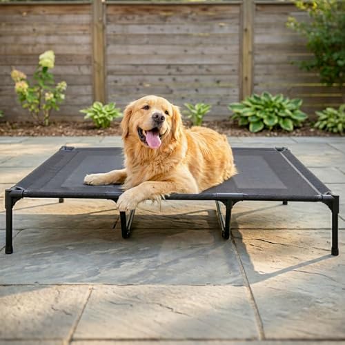 Suddus Elevated Dog Bed for Large Dogs 140lb, Breathable Cooling Raised Dog Cot with Dual Support Bars & Metal Frame, No-Slip Feet, Waterproof Pet Bed for Indoor/Outdoor, X-Large, 48 * 36 * 9in, Grey - color: Grey, size: XL (48"L x 36"W x 9"H)