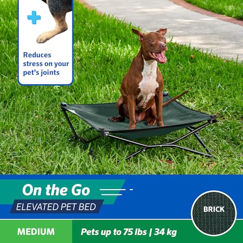 Coolaroo On-The-Go Elevated Dog Bed - Foldable Pop-Up Travel Dog Bed with Breathable, Moisture-Resistant Fabric, Carry Bag Included, Lightweight & Portable, Brunswick Green, Medium - color: Brunswick Green, style: Medium