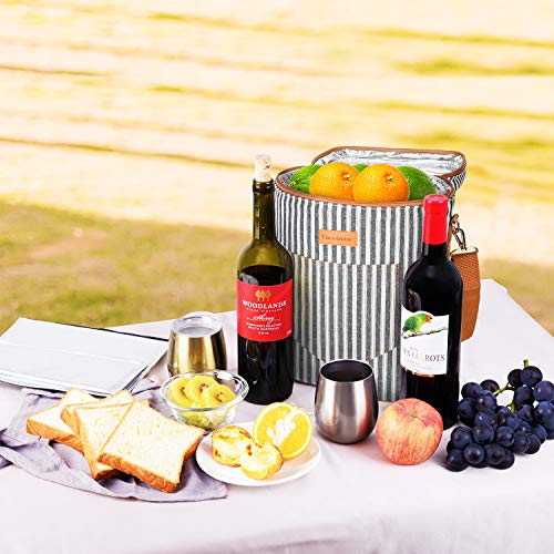 Tirrinia 4 Bottle Wine Gift carrier - Insulated & Padded Portable Versatile Wine Carrying Cooler Tote Bag for Travel, BYOB Restaurant, Wine Tasting, Party, Great Gift for Wine Lover, Black Stripe - color: Black Stripe, size: 4 Bottle-without front pocket