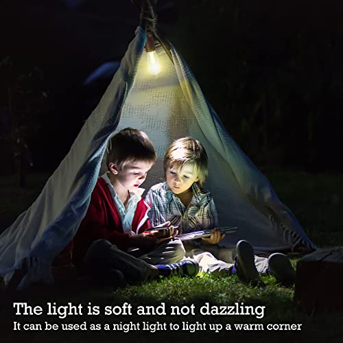 2 Pack Rechargeable Warm Tent Hanging Light Bulb,Portable Outdoor Vintage LED Camping Light,Pendant Hurricane Emergency Lighting Lantern for Hiking Backpacking Fishing Outage Power Failure - size: 2 PACKS lithium battery