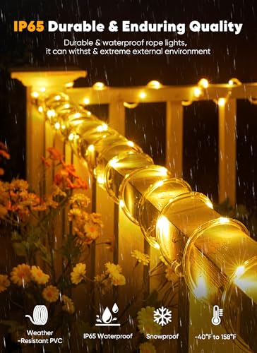 Brightown Solar Rope Lights, 39FT 100LED Outdoor Solar String Lights, IP65 Waterproof Solar Powered Fairy Lights with 8 Lighting Modes for Party Garden Patio Pool Backyard Tree Decoration, Warm White - color: Warm White, size: 100 LED