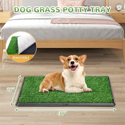 COZIWOW Grass Pad for Dogs with Tray, 30”×20” Large Grass Pad with Tray, Artificial for Indoor Potty, Washable Pet Loo Toilet for Balcony Apartment - size: L - 30x20x1.2 in