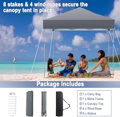 LDAILY 6.6 x 6.6 Ft Pop Up Canopy, Portable Canopy Tent Heavy Duty Instant Canopy w/Center Lock, 8 Stakes, 4 Ropes, Carry Bag, Sun Protection, Easy Up Outdoor Canopy for Party, Camping, Patio (Grey) - color: Gray