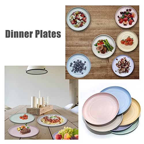 DAPIPIK 6 PACK 6 Inches wheat straw plates, Unbreakable Deep Dinner Plates, Plastic Plates Reusable, Assorted Colors Dinnerware Sets, Microwave & Dishwasher Safe