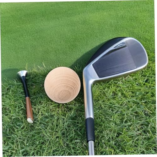 TOYANDONA 5PCS Wooden Croquet Balls Set for Outdoor Lawn Games Sturdy Solid Wood Balls for Backyard Croquet DIY Crafts and School Projects