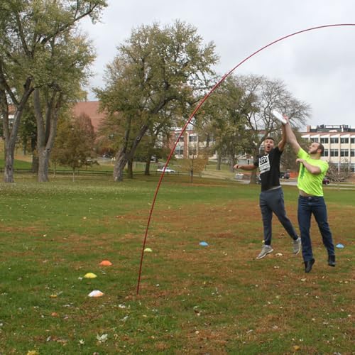 Disc Store Portable Goaltimate Kit - Includes Regulation Goaltimate Arc, Two Iron Stakes, and Carrying Bag for Ultimate Disc Games