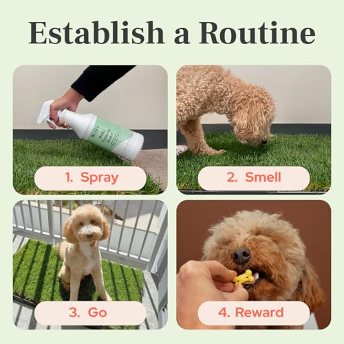 DoggieLawn Potty Training Aid Spray | Attractive Scent Helps Train Dogs Where to Potty | Formulated for Indoor & Outdoor Use | Made in USA - 32 oz